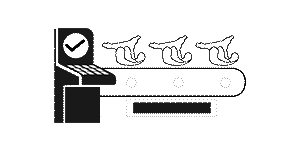 18 ഉൽ പാദന ലൈനുകൾ